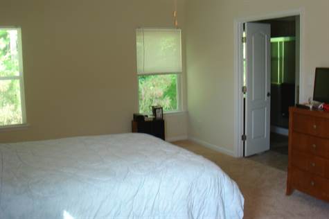 Master Bedroom with Tray Ceiling & Walk-in Closet 