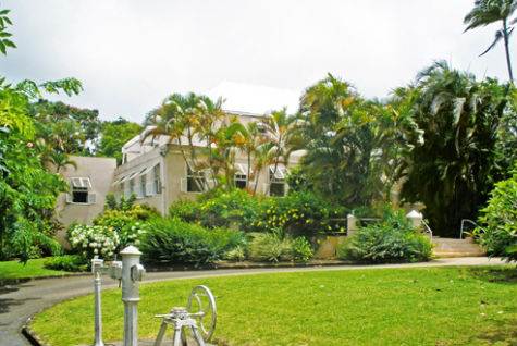 Barbados Luxury,  Entrance road to house