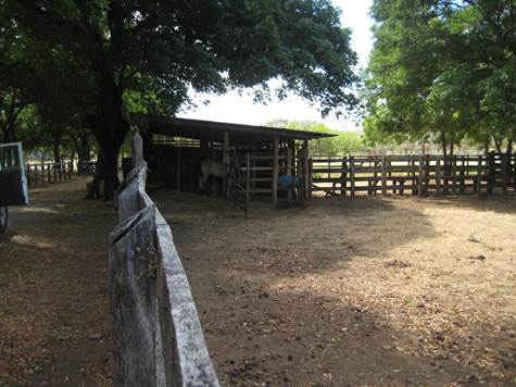 Stables and corral area