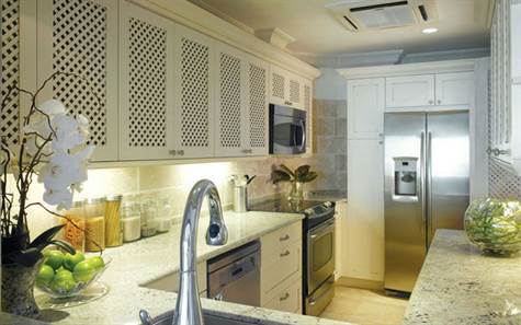 Barbados Luxury Elegant Properties Realty - Kitchen (decoration to included)