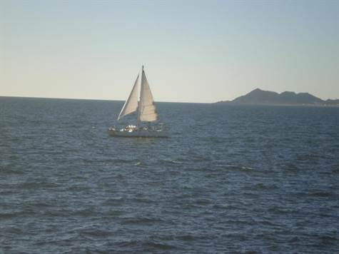 Sail the Sea of Cortez
