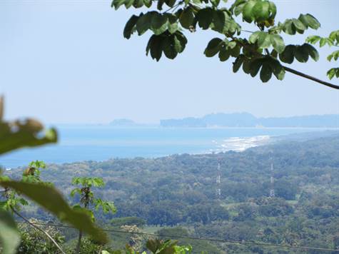 1.2 ACRES - Amazing Ocean View in a Jungle Setting with Great Access!!!