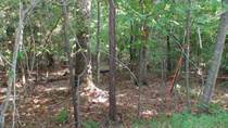 Lots and Land for Sale in Ellijay, Georgia $29,000