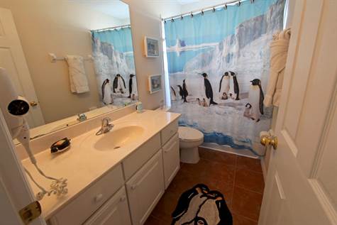 Upstairs-Bathroom-Penguins