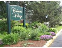 Condos for Rent/Lease in Arlington Heights, Arlington, Massachusetts $1,500 monthly