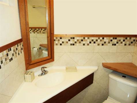 Barbados Luxury,   bathroom with singular sink