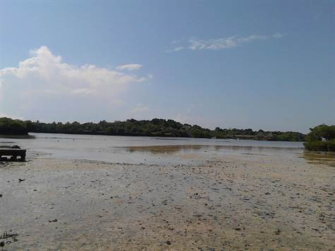 Photo of low tide facing Chale Island