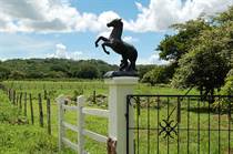 Farms and Acreages for Sale in Herradura, Hernandez, Puntarenas $80,000