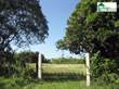 Homes for Sale in Benque Viejo Town, Cayo, Cayo $65,000