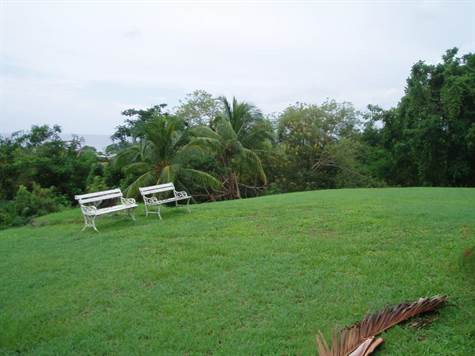 Barbados Luxury,   Shot of Garden Space