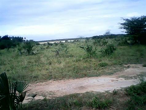 Properties for sale in Kenya Kwale County