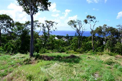 Barbados Luxury,   Full-shot of The Land