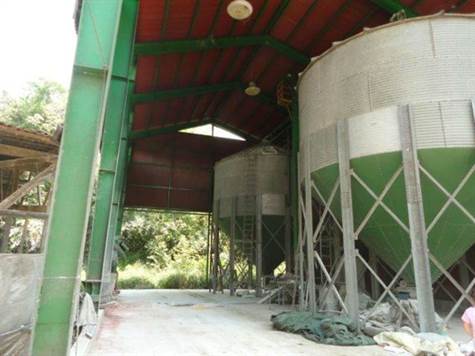 Silos para almacenar maiz en Grano