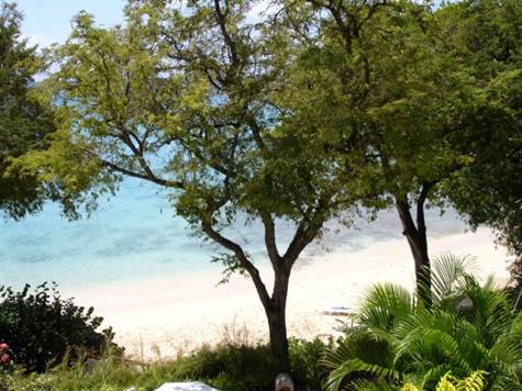Barbados Luxury,   Shot-of Beach Covered by Trees