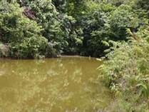 Lots and Land for Sale in Quepos, Puntarenas $3,500,000