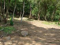 Lots and Land for Sale in Dominical, Puntarenas $299,000