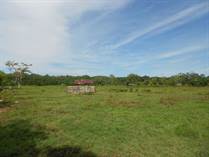 Lots and Land for Sale in Uvita, Puntarenas $4,618,000