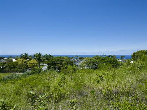Barbados Luxury,  Full-shot of View