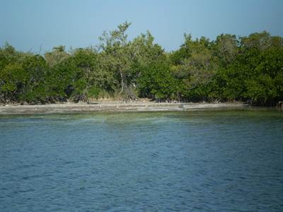 # 2059 - 10 ACRES OF LAND ON HICK'S CAYE - Belize District