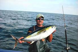 GET YOUR OWNT YELLOWTAIL