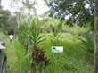 Lots and Land for Sale in Benque Viejo Town, Cayo District, Cayo $101,200