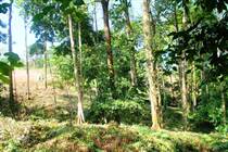 Lots and Land for Sale in Ojochal, Puntarenas $65,000