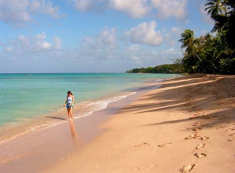 Barbados Luxury, Beaches
