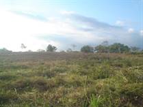 Farms and Acreages for Sale in Naranjito, Quepos, Puntarenas $745,000