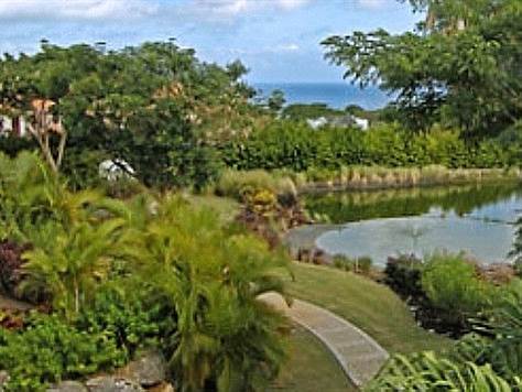 Barbados Luxury,  Close-up of Pond and Garden