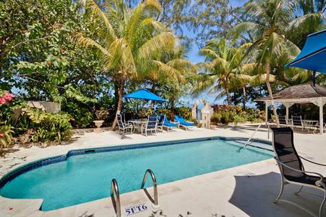 Barbados Luxury Elegant Properties Realty - Pool Area