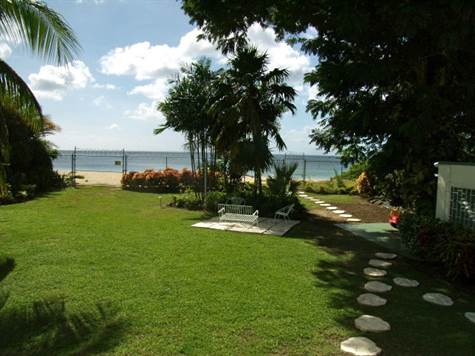 View of back lawn (facing sea)