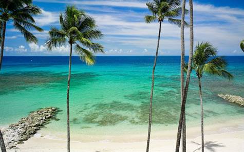 Barbados Luxury Elegant Properties Realty - The Beach