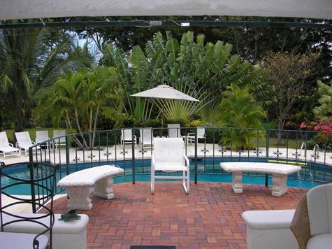 Pool area from the covered sitting area