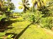 Lots and Land for Sale in Bo.El Mani, Mayaguez, Puerto Rico $25,997