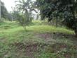 Lots and Land for Sale in Quepos, Puntarenas $30,000