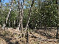 Lots and Land for Sale in Nosara, Guanacaste $215,000