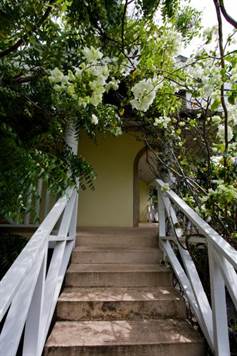 Barbados Luxury,  Stairway Within Garden Space