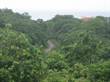Lots and Land for Sale in Nosara, Guanacaste $150,000