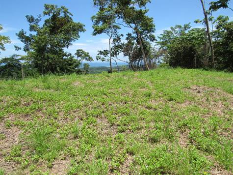 1.2 ACRES - Amazing Ocean View in a Jungle Setting with Great Access!!!