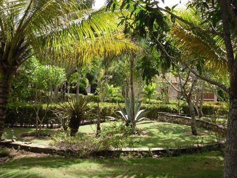 Gardens and Path to Tiki Hut