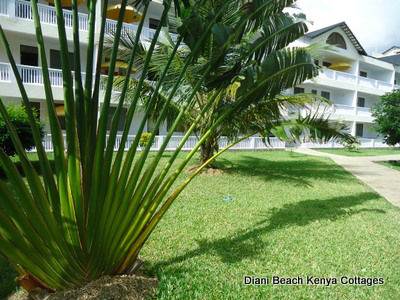 558 Diani Beach Rental Apartments