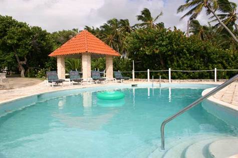 Barbados Luxury,   Long-shot of The Pool