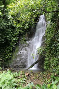One of Two Onsite Waterfalls