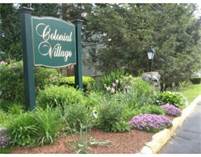 Condos for Rent/Lease in Arlington Heights, Arlington, Massachusetts $1,600 monthly