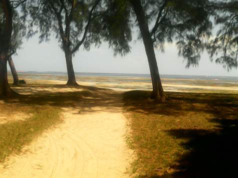 The Beach Front property to let in Malindi