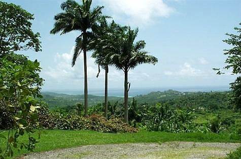 Barbados Luxury,   View of Horizon