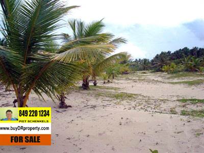 COMMERCIAL INVESTMENT PROPERTY, LARGE PIECE OF BEACHFRONT LAND IDEAL FOR PROJECT, Suite 3074, Sabaneta De Yasica, Puerto Plata
