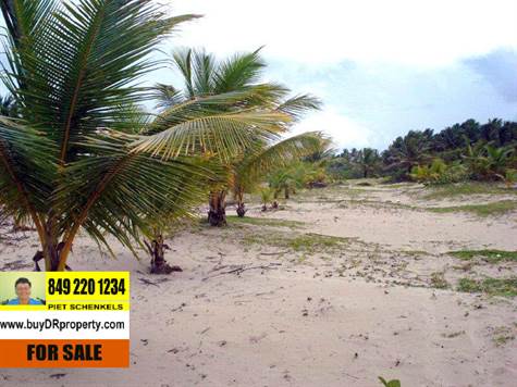 8 Beachfront land, Dominican Republic