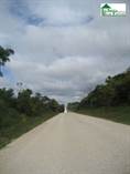 Lots and Land for Sale in Roaring Creek Village, Cayo District, Cayo $65,000