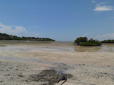 Low tide close to Chale Island